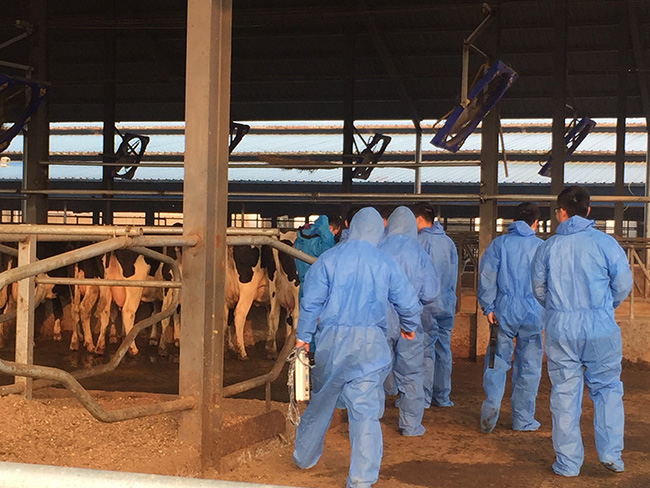 大為獸用事業部筆記本S4獸用b超機奶牛檢測